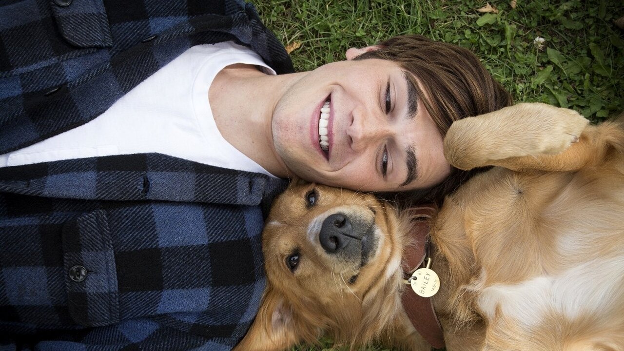 MES VIES DE CHIEN
